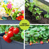 Green Fingers Elevated Garden Bed 100cm x 40cm x 80cm