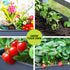 Green Fingers Raised Garden Bed 100cm x 40cm x 80cm - 2 Set