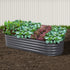 Green Fingers Oval Garden Bed 160cm x 80cm x 42cm