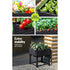 Green Fingers Raised Garden Bed 40cm x 40cm x 23cm