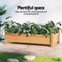 Green Fingers Raised Wooden Garden Bed 65cm x 33cm x 16cm
