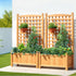 Green Fingers Wooden Garden Bed Trellis 64cm x 35cm x 115cm - 2 Set