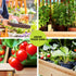 Green Fingers Raised Wooden Garden Bed 120cm x 60cm x 80cm