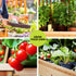 Green Fingers Raised Wooden Garden Bed 120cm x 60cm x 80cm - 2 Set
