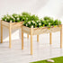 Green Fingers Raised Wooden Garden Bed 120cm x 60cm x 80cm - 2 Set