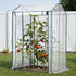 Green Fingers Mini Greenhouse 1.0m x 0.8m x 1.5m