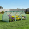 Green Fingers Mini Greenhouse 240cm x 90cm x 90cm