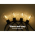 Festoon Lights 80mm Round 50m Kit
