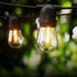 Festoon Lights 68m Kit