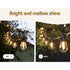 Festoon Lights 68m Kit