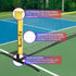 Everfit 3m Portable Badminton Volleyball Pickleball Adjustable Net Kit