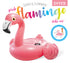 Intex Pink Flamingo Inflatable Pool Float