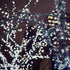Indoor/Outdoor White LED Plug In Fairy Lights 20m