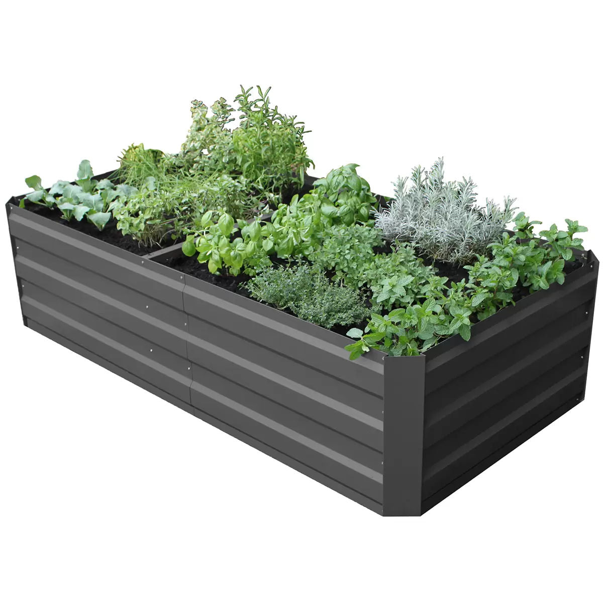 Large Garden Bed 180cm x 90cm x 45cm