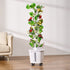 VEVOR Hydroponic Vertical Garden with Water Pump & Wheels